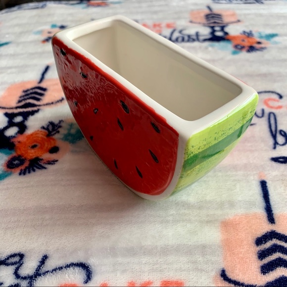 1 LEFT! 🍉 Watermelon Slice Succulent Planter 🍉 - Picture 4 of 4